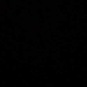 Meet your Posher, Jake